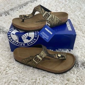 Birkenstock Gizeh Shiny Python Black asst pc